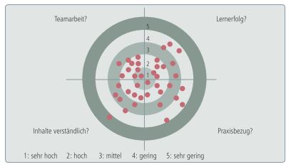 Grafik einer Feedbackzielscheibe