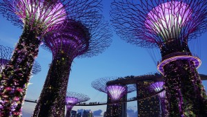 Garten an der Bucht in Singapur bei Nacht