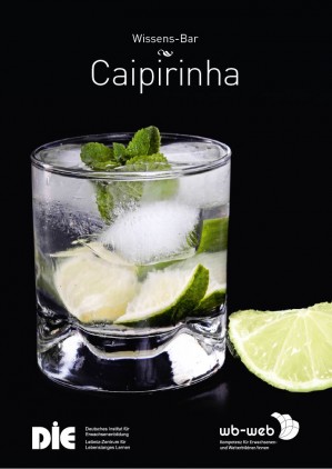 Cocktail Caipirinha, Präsentieren, Visualisieren und Dokumentieren