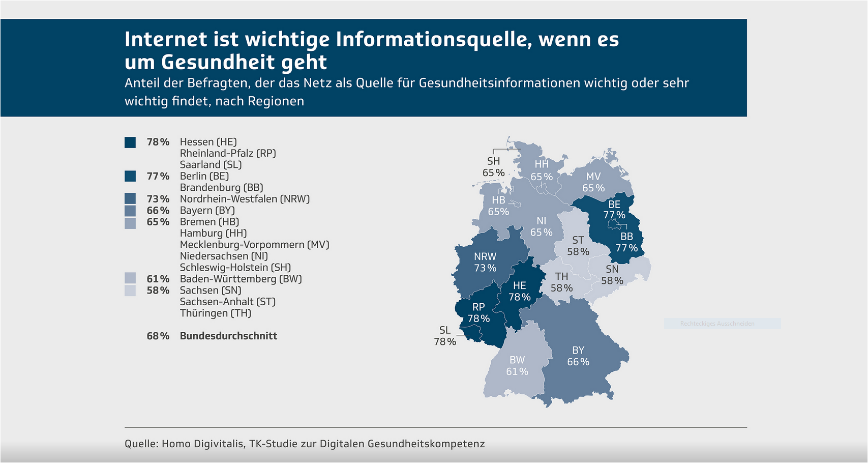 Die Infografik zeigt die Bedeutung des Internets bei Gesundheitsthemen.