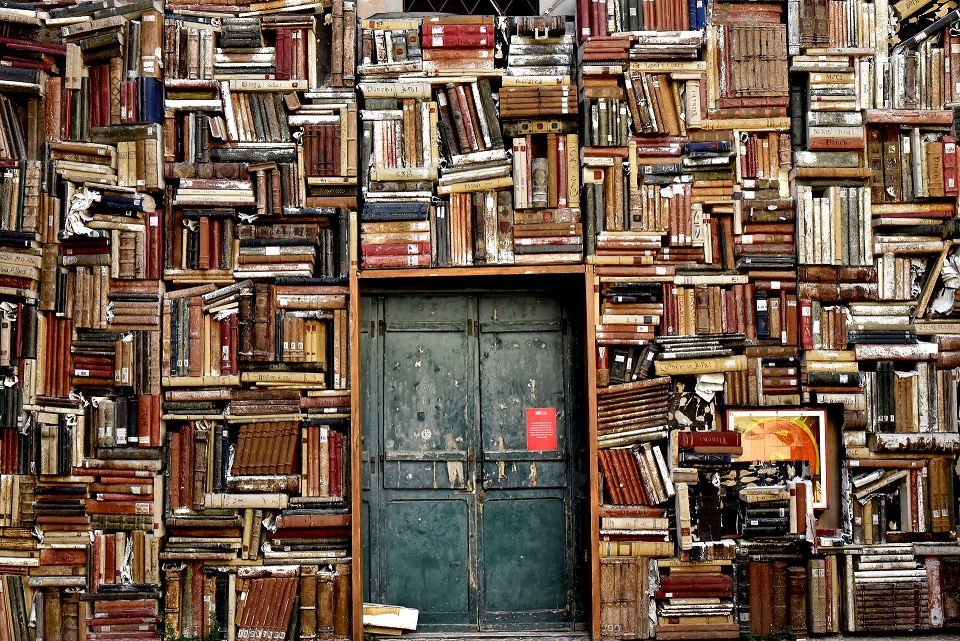 Das Bild zeigt eine Tür in einer Bücherwand.