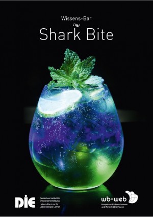 Cocktail Shark Bite, Gesetzliche Rahmenbedingungen zum Arbeitsverhältnis von Lehrenden in der Erwachsenenbildung