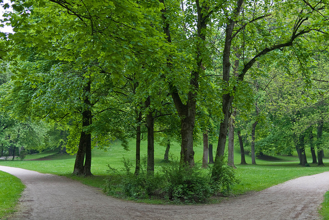 Weggabelung mit Bäumen