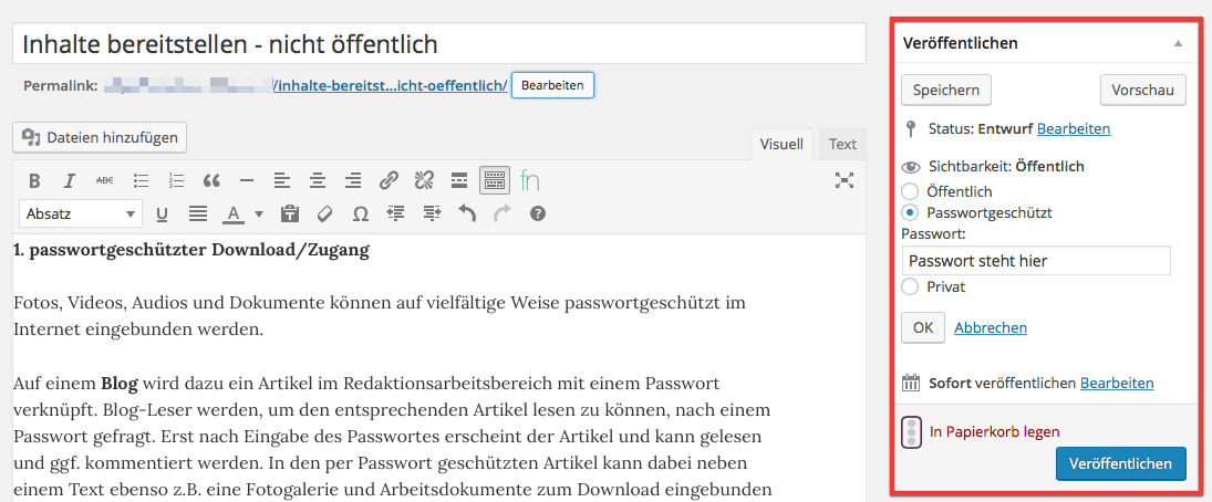 Screenshot Veröffentlichungseinstellungen im Wordpress Blog