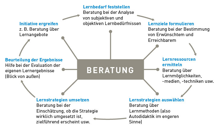 Grafik zu den Elementen der Lernberatung